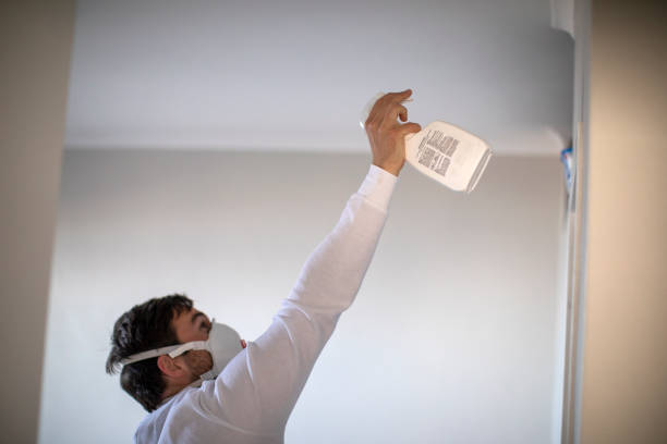 Best White Mold Remediation in Allentown, NJ