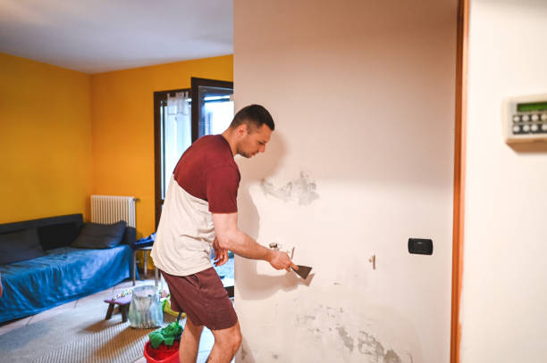 Best Commercial Mold Remediation in Allentown, NJ