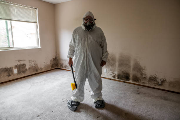 Best Residential Mold Remediation in Allentown, NJ
